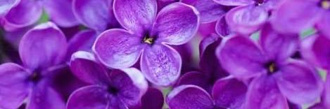 くち|アラサー独身OLのゆるFIRE計画 banner