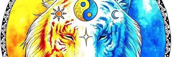 AshtonCoen's profile banner image