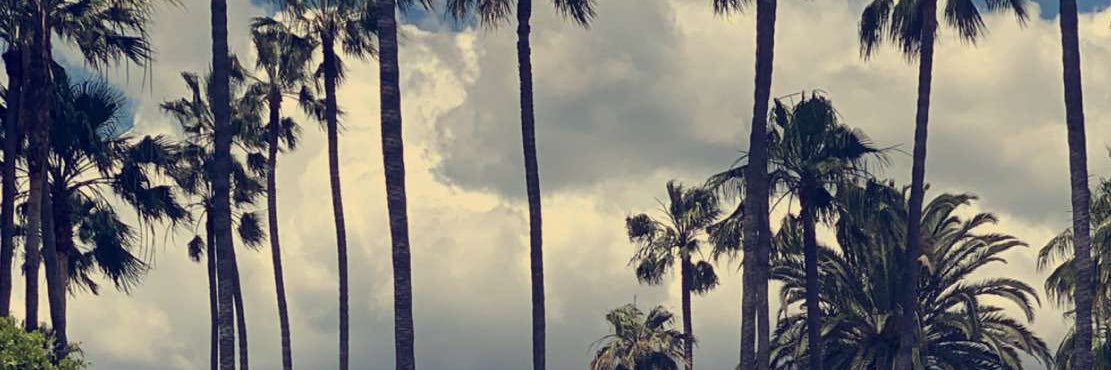 nancyglomez's profile banner image