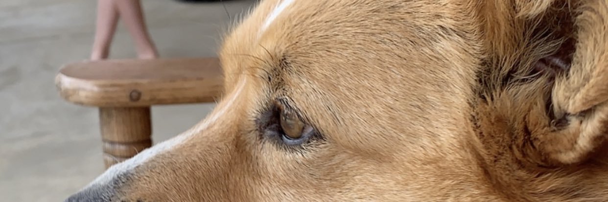 helloitsericka's profile banner image