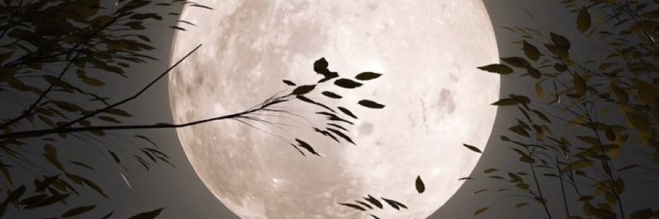 heley88's profile banner image