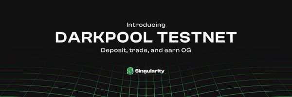 singularityzk Profile Banner
