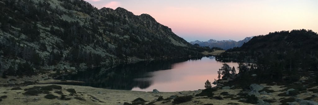 NoemiePrin's profile banner image