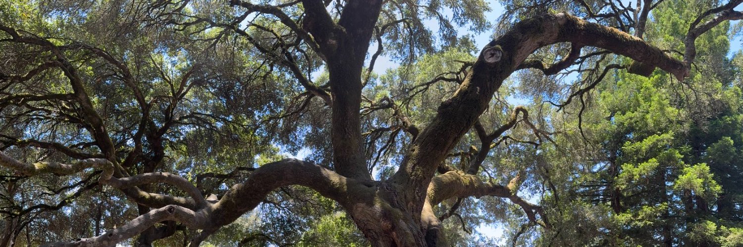 Alexander Campbell banner