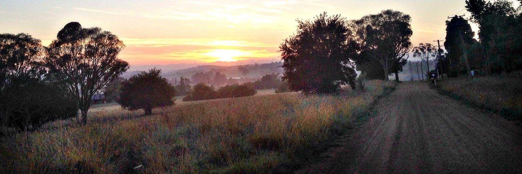 Kate M 🇦🇺 banner