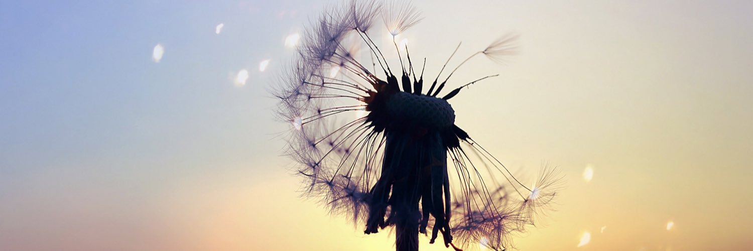 kaylabroooke's profile banner image