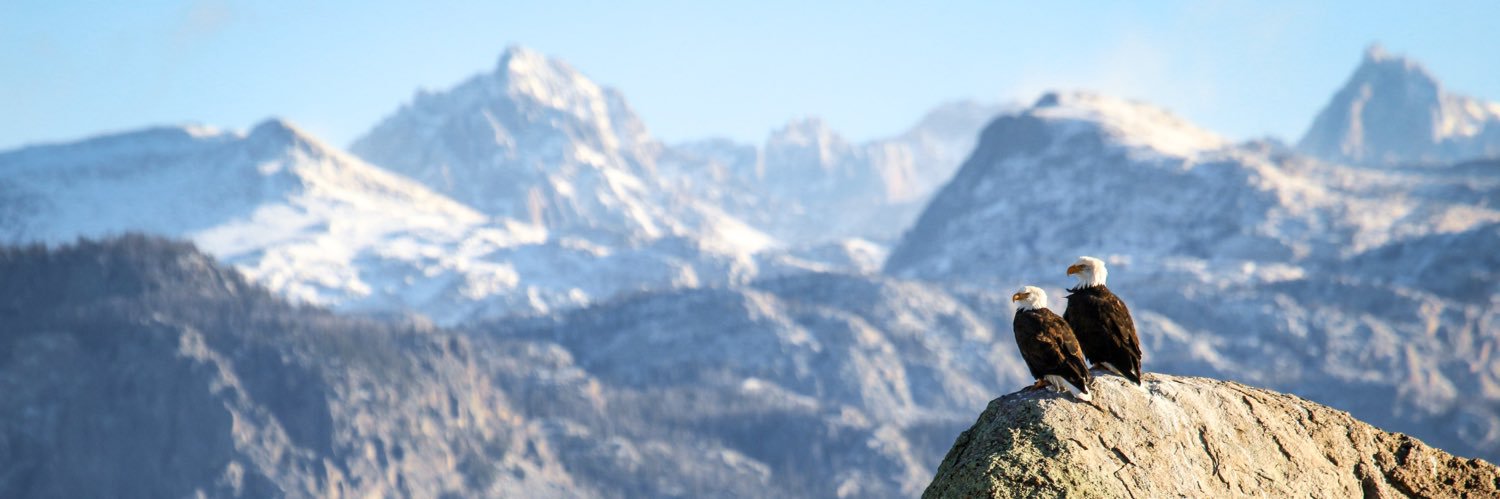 ParksVisitor's profile banner image