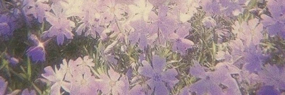 ℳ♡ℳℳ𝐼𝒮𝓗𝓐 banner