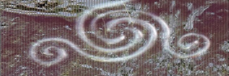 ٰ banner