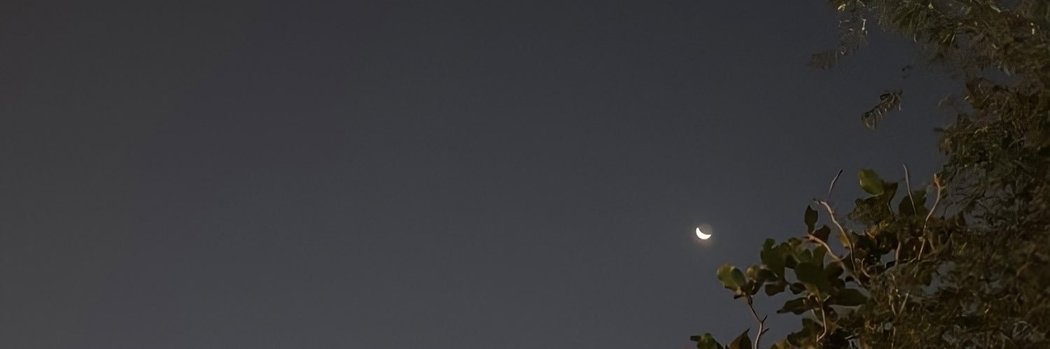 bushra_77's profile banner image