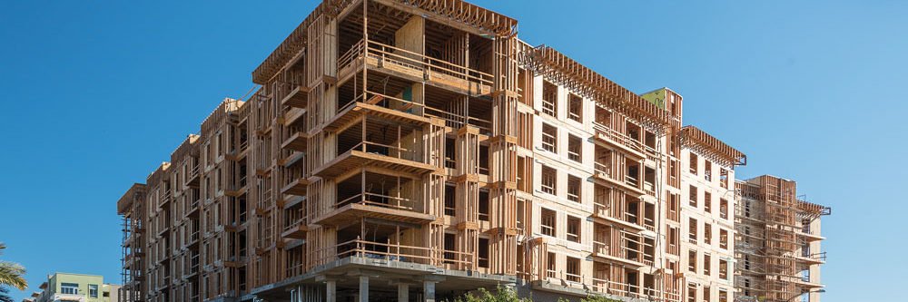 R.E.Developer Pepe banner