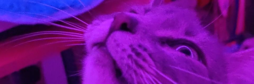 BURNDlVlSlON's profile banner image