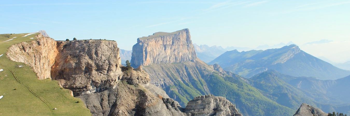 William Hutter banner