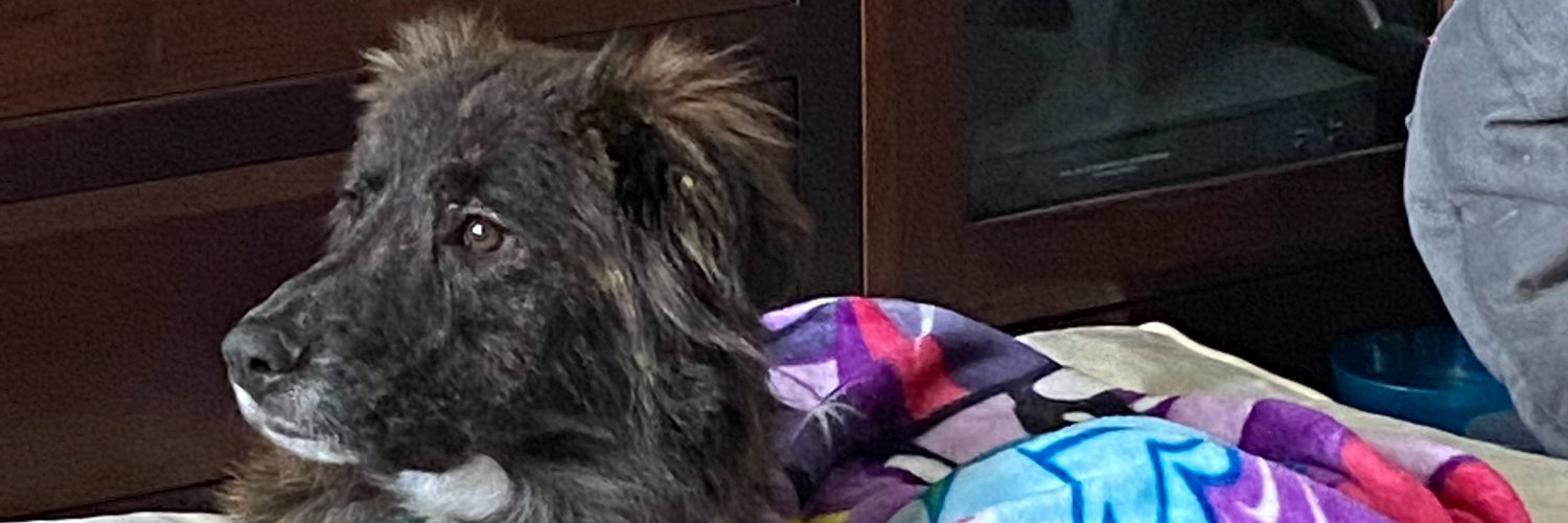 jrporter's profile banner image