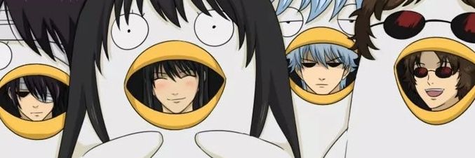 fenis monja banner