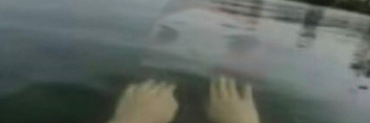 塩化ナト banner