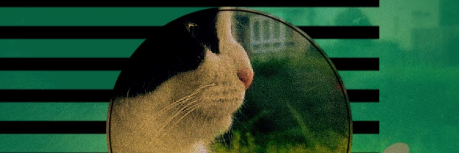 Suzanne Coyle 🌷 banner
