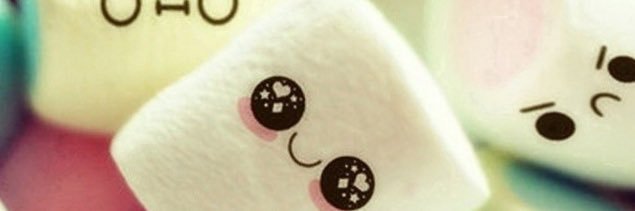 사보 banner