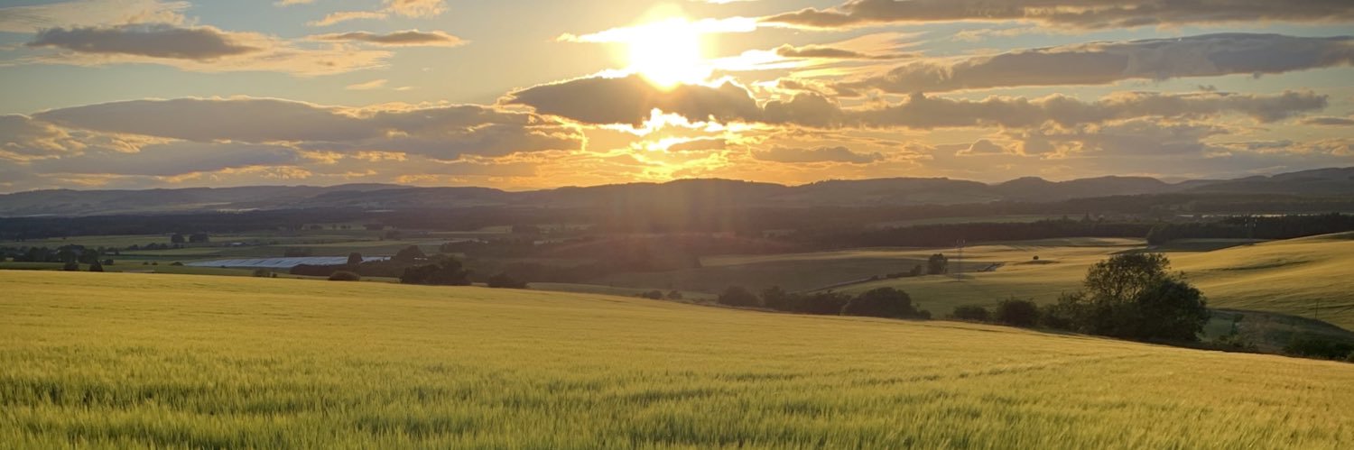 Andrew Robertson banner