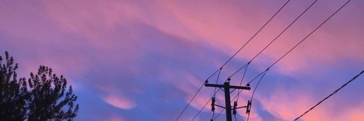 vecunia_'s profile banner image