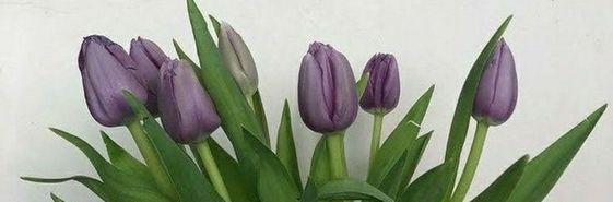 ether__6's profile banner image