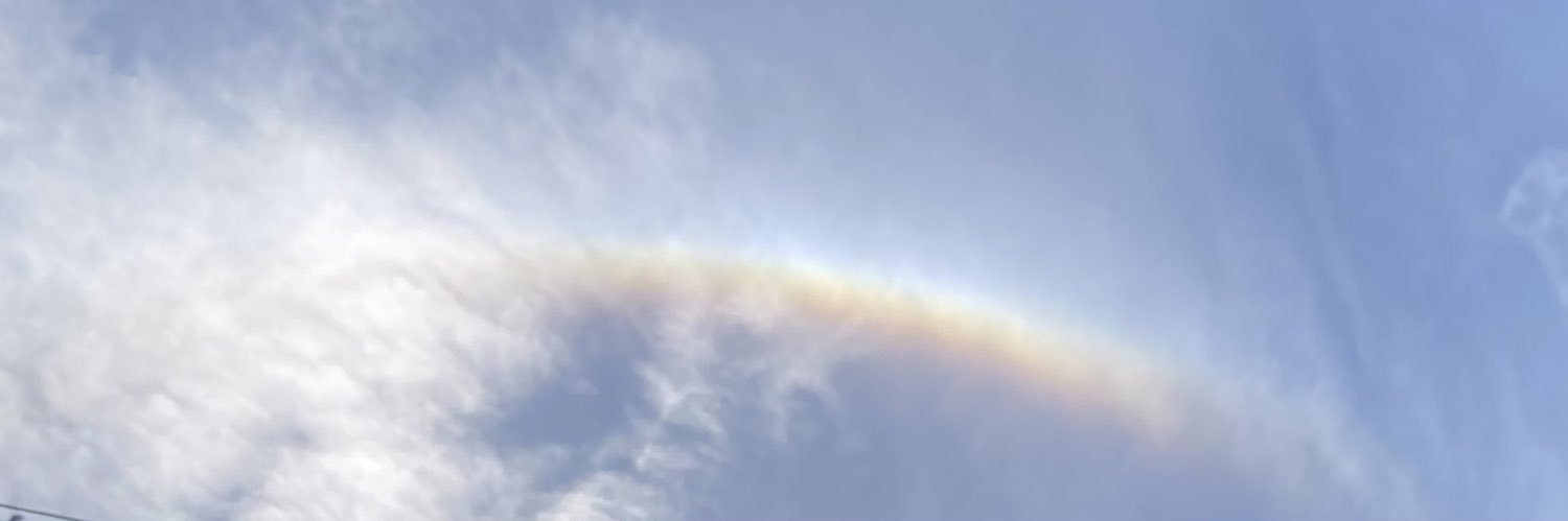 Bee9524's profile banner image