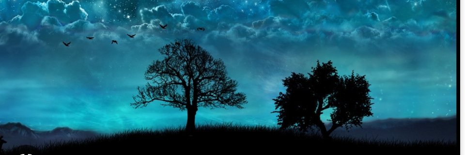 Dasha Abramova banner