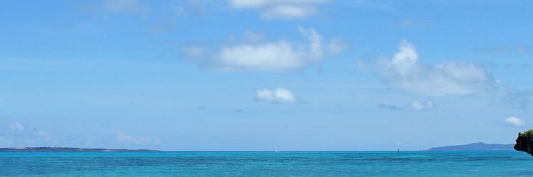 青田彩也子 banner