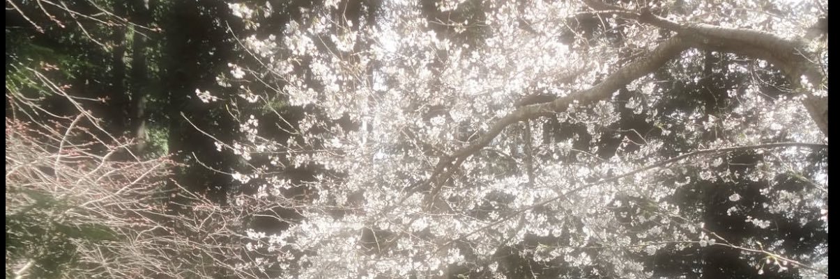 IRBZY's profile banner image