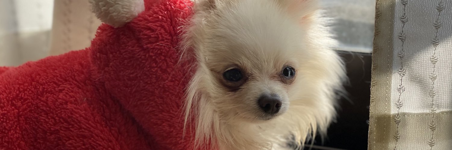 bom_mico's profile banner image