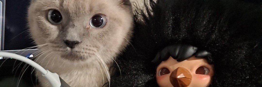 e_murtii's profile banner image