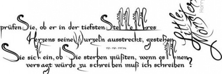 nayereb's profile banner image