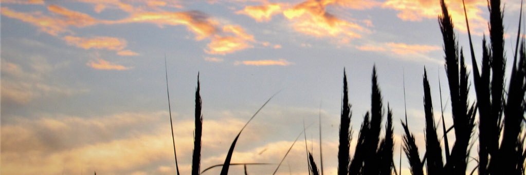 jfc352's profile banner image