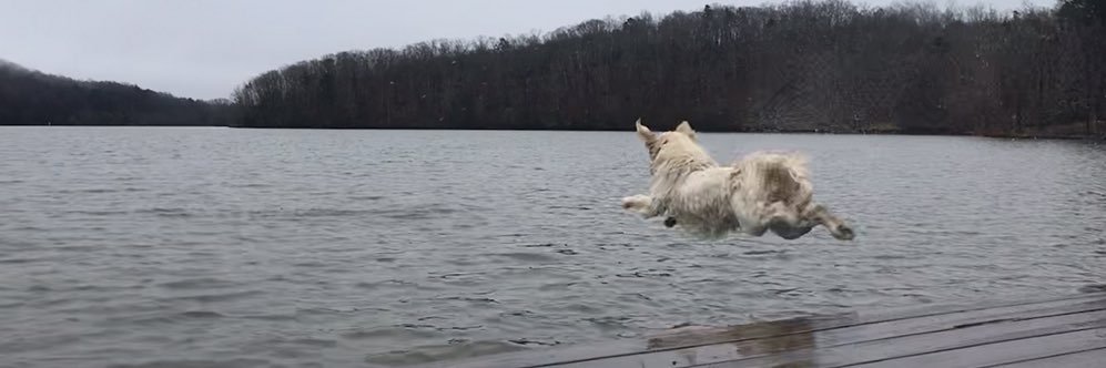 BillyTomcho's profile banner image