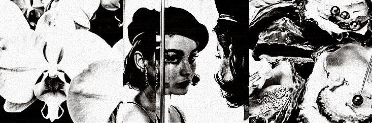 AMAYUNGI SARISHA banner