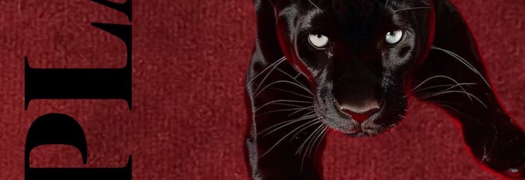 7tefh's profile banner image