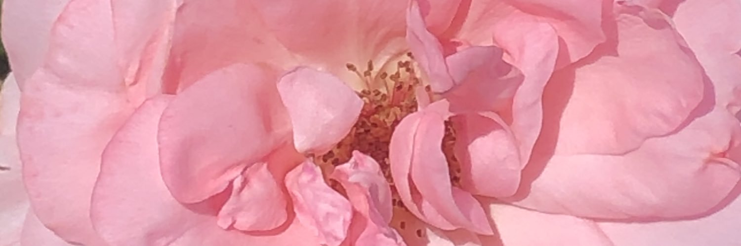 Smfuin's profile banner image