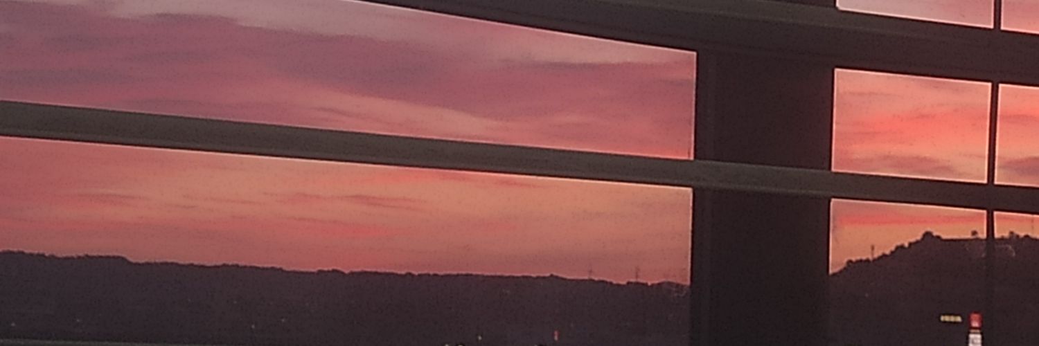 sandraamaroto's profile banner image
