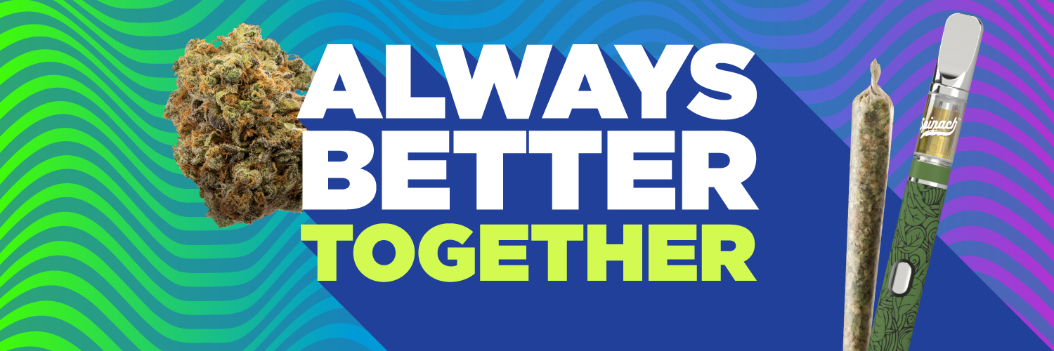 spinachwfriends's profile banner image