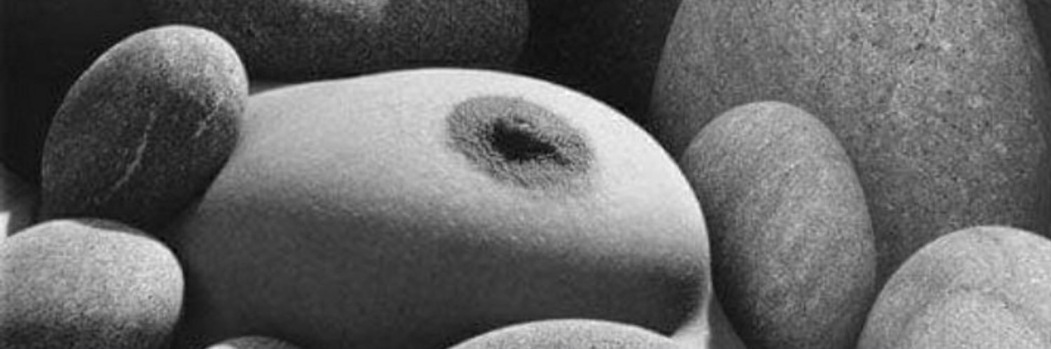 Dark Fesses banner