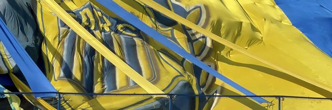 GuerreroDeCentral 💙💛 banner