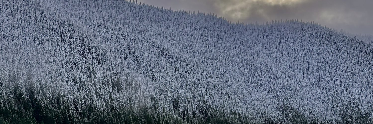 tifgod's profile banner image