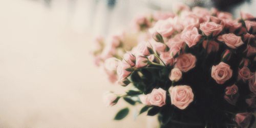 Medinantoo's profile banner image