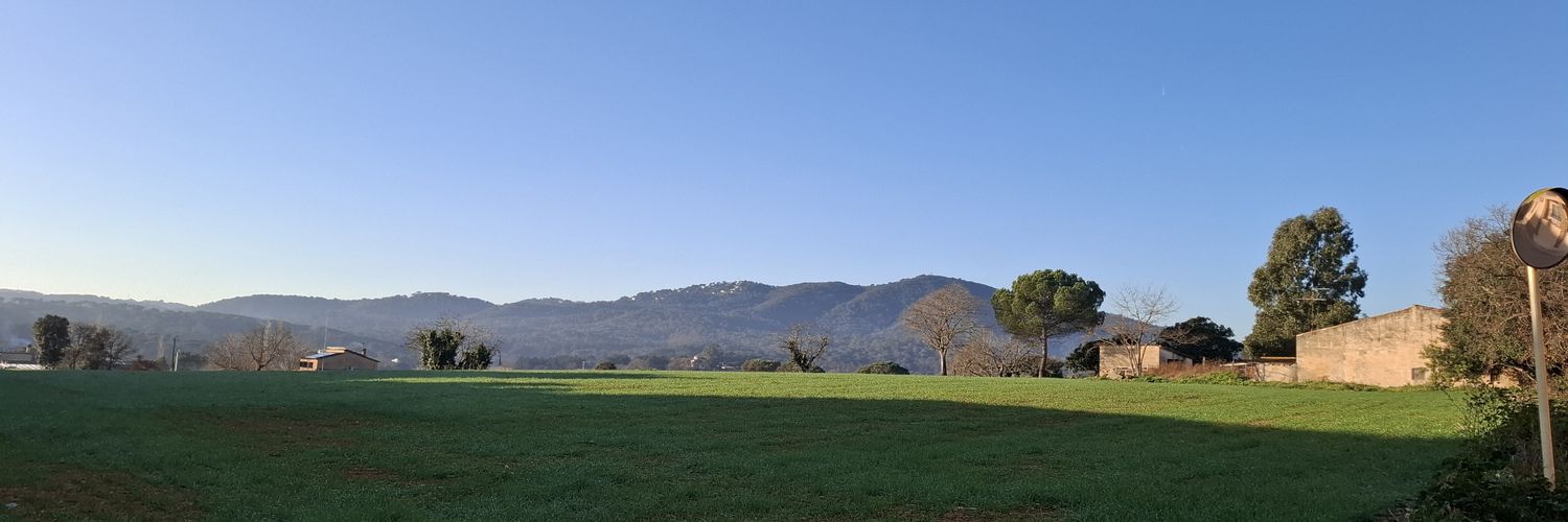 MargaSofe's profile banner image