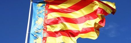 troncopollits's profile banner image