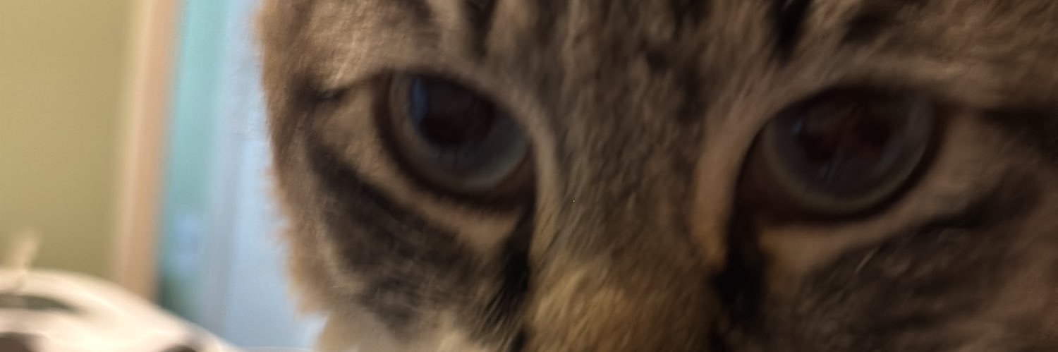 riibell4's profile banner image