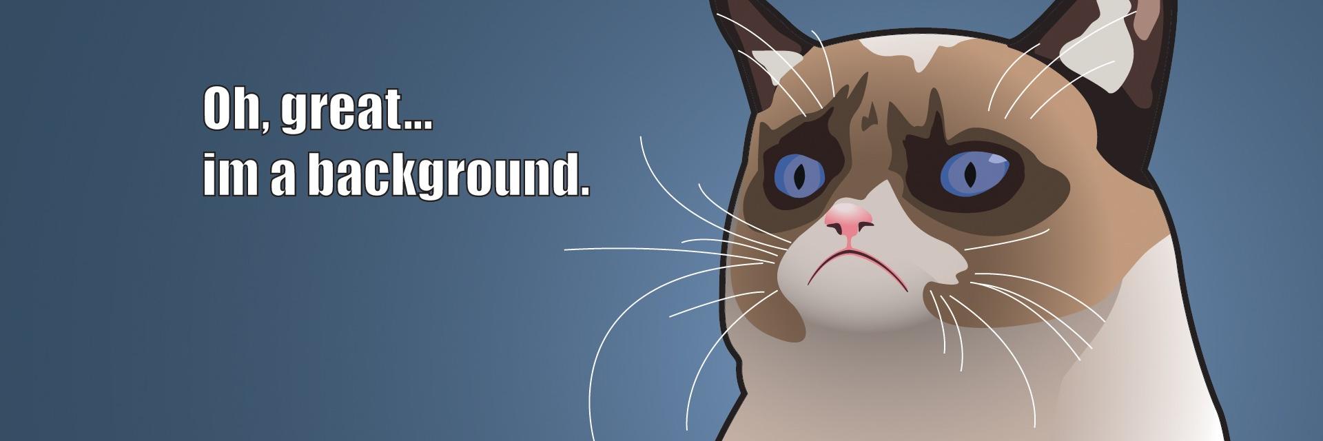Grumpy Cat banner