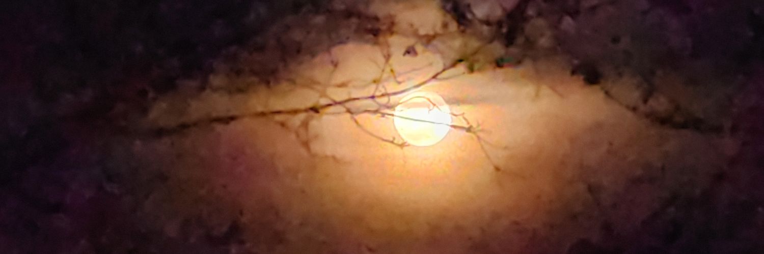 Charles Riley banner