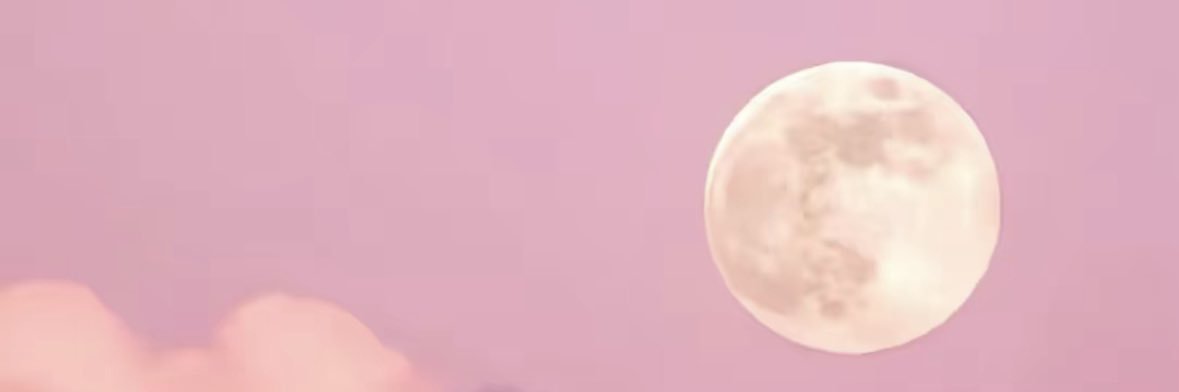 just Cy 🍃✨ banner
