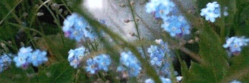 ruan1076's profile banner image